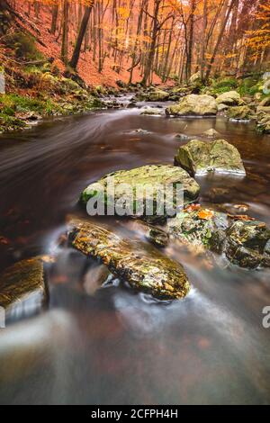 River Hogne in the high fens, Belgium, Wallonie, Ardennes Stock Photo