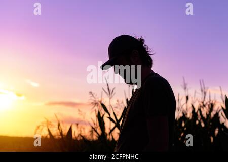 Silhouette of male farmer standing on cornfield, farm worker with baseball cap in sunset Stock Photo