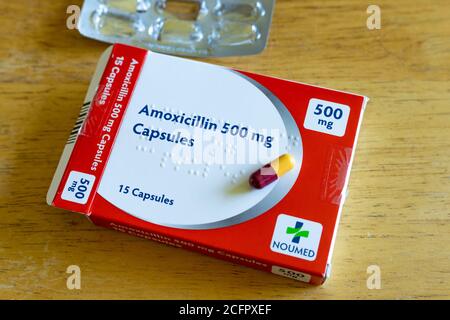 Photograph of an opened packet of Amoxicillin capsules, a common antibiotic medication used for treating infections Stock Photo