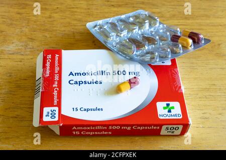 Photograph of an opened packet of Amoxicillin capsules, a common antibiotic medication used for treating infections Stock Photo