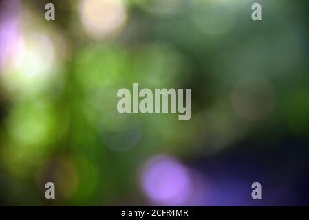 Beautiful colorful blur bokeh background Stock Photo