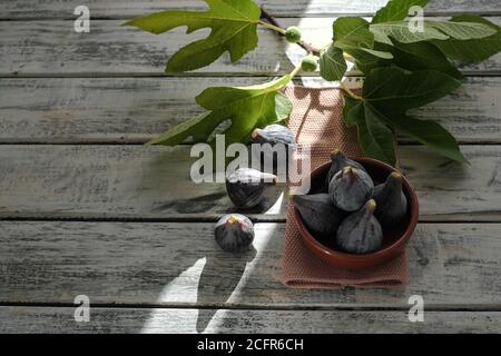 Ceramic bowl filled with ripe figs, beautifully arranged on a white shabby chic wooden table with fig branch , flat lay Stock Photo