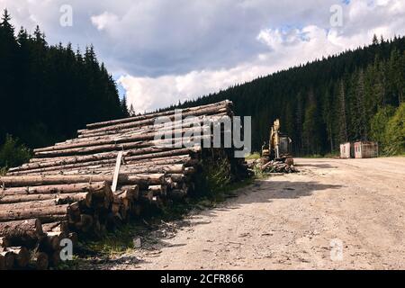 Logs in a sawmill yard. Stacks of woodpile firewood texture background. Tree trunks cut and stacked in the bush. Timber logging Stock Photo