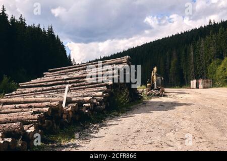 Logging Tree Grids Mountain landscape with cut tree trunks Stock Photo - Alamy