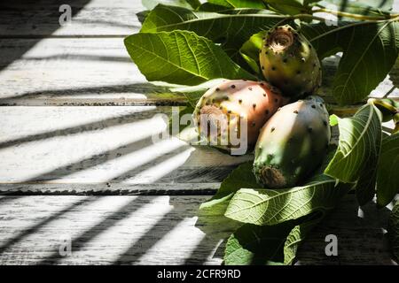prickly pears nicely arranged on a white shabby chic wooden table with fig leaves,  on the background a shadow of a palm, flat lay Stock Photo