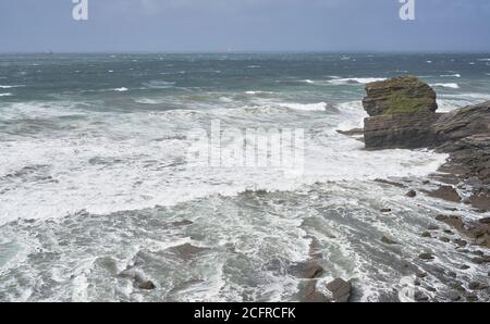Waves crashing into cliffs following a storm at Broadhaven, Pembrokeshire, Wales Stock Photo