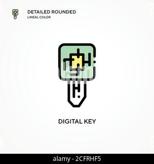 Digital key vector icon. Modern vector illustration concepts. Easy to edit and customize. Stock Vector
