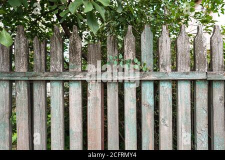 Old weathered green and grey wooden fence made of planks near to tree Stock Photo
