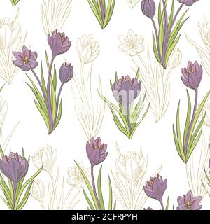 Saffron crocus flower graphic color seamless pattern sketch illustration vector Stock Vector