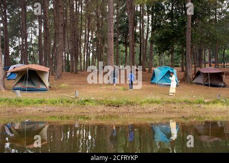 View landscape of Pang Ung pine forest and tent camping while bamboo rafts moving in Pang Oung lake or Switzerland of Thailand in authentic Chinese vi Stock Photo