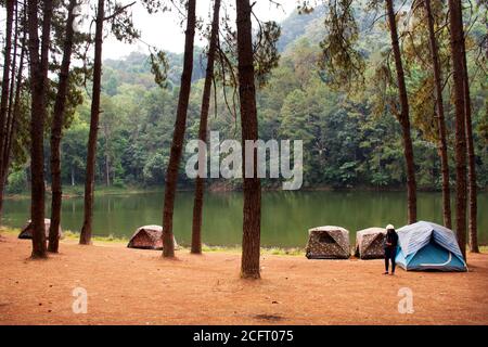 View landscape of Pang Ung pine forest and tent camping while bamboo rafts moving in Pang Oung lake or Switzerland of Thailand in authentic Chinese vi Stock Photo