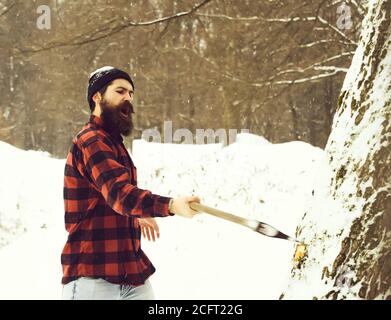 Handsome man or brutal lumberjack, bearded hipster, with beard and moustache in red checkered shirt cuts tree with axe in snowy forest on winter day outdoors on natural background Stock Photo