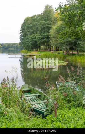 Lake background with reeds in the wind, water lilies plant, green nature, wooden pier and boats, vertical Stock Photo
