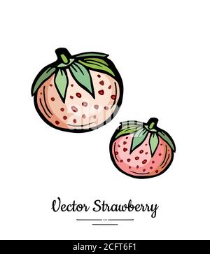 Strawberry vector isolated. Pink berries hand drawn illustration Trendy food vegetarian menu fruit icon Whole strawberry Stock Vector