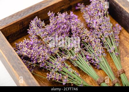 Fresh lavender flower bouquets are dried in wooden box. Bunches of lavender flowers dry. Apothecary herbs for lavender aromatherapy. White background Stock Photo