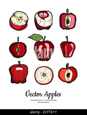 Apples vector isolated set. Red fruits hand drawn illustration. Trendy food vegetarian menu fruit logo, icons apples set Stock Vector