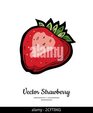 Strawberry vector isolated. Red berry hand drawn illustration. Trendy food vegetarian menu, fruit icon. Whole strawberry Stock Vector
