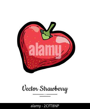 Strawberry vector isolated. Red berry hand drawn illustration. Trendy food vegetarian menu, fruit icon. Whole strawberry Stock Vector