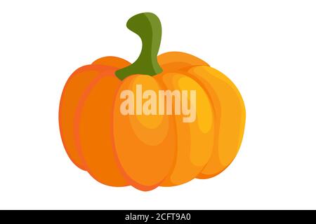 Orange pumpkin vector illustration. Pumpkin colorful icon Stock Vector