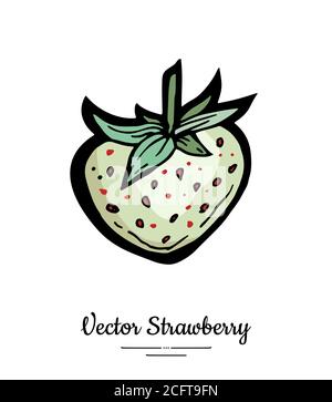 Strawberry vector isolated. White berry hand drawn illustration Trendy food vegetarian menu fruit icon. Whole strawberry Stock Vector