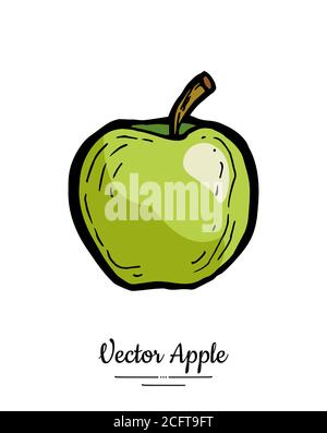 Apple vector isolated. Green fruit hand drawn illustration. Trendy food vegetarian menu fruit logo icon. Whole apple Stock Vector
