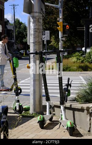 Lime e-scooters parked at a traffic crossing as part of a scooter feasibility pilot project in Ottawa, Ontario, Canada. Stock Photo