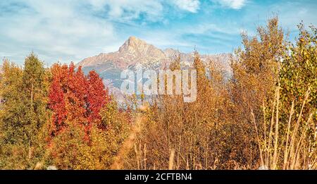 Mount Krivan peak Slovak symbol with out of focus autumn coloured trees in foreground, Typical autumnal scenery of Liptov region, Slovakia Stock Photo