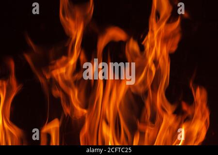Abstract nature background with blurred fire salamander colors, black ...