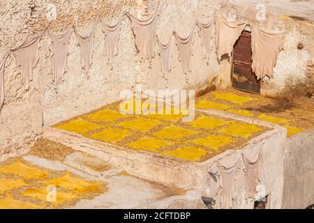 Animal skins drying on rooftops at the tannery in Fez, Morocco Stock Photo