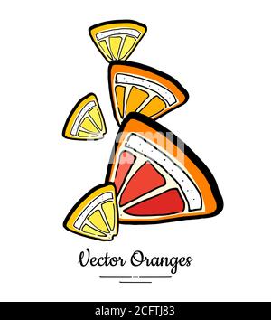 Orange lemon quarter slices set vector isolated. Cut chopped orange red grapefruit slices. Fruit hand drawn. Citrus food Stock Vector