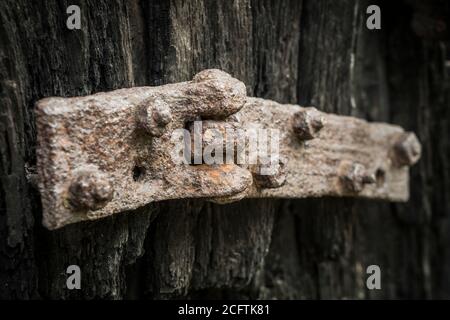 old wooden door with rusty hinge Stock Photo