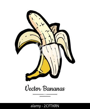 Banana vector isolated. Whole half peeled banana. Yellow fruits collection hand drawn. Food vegetarian logo icon sketch Stock Vector
