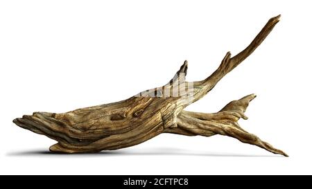 driftwood, aged branch isolated with shadow on white background Stock Photo