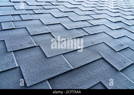 View on asphalt roofing shingles covered with frost. Stock Photo