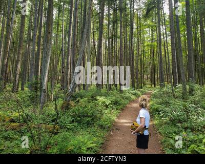One woman hiking trekking on a dirt path trail  through a lush green forest. Active lifestyle. Active retiree. Model released. Stock Photo