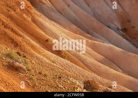 Details of valley off of Queens Garden Trail, Bryce Canyon National Park, Utah, USA Stock Photo