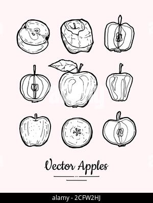 Apples vector isolated. Fruits collection hand drawn set. Trendy food vegetarian menu, fruit icons set in ink style Stock Vector