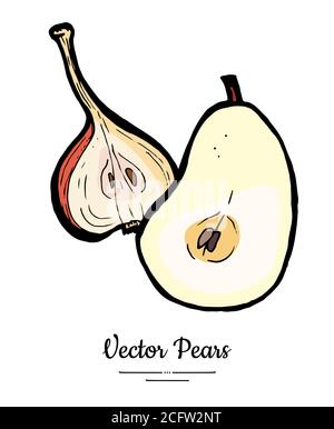 Pears fruits vector isolate. Red pear whole chopped half cut slices hand drawn illustration vegetarian icon logo sketch Stock Vector
