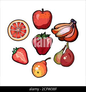 Red fruits vector set isolated. Whole, chopped strawberry, bananas, pears, orange, apple. Fruits collection hand drawn Stock Vector