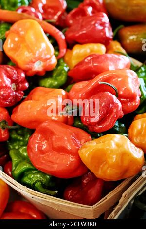 Small hot red peppers and yellow peppers in a display of fresh vegetables for sale at a farm market or farmers market. Stock Photo