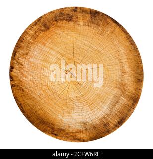 Felled piece of wood from a tree trunk with growth rings isolated on white. Tree rings with texture and detail. Stock Photo