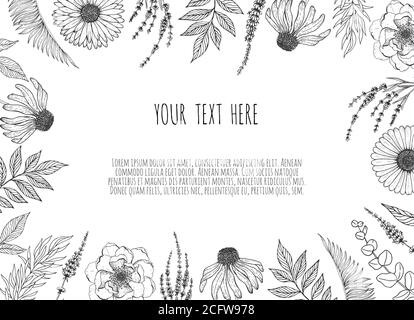 Floral backgrounds with hand drawn herbs and wildflowers. Monochrome vector illustration in sketch style. Stock Vector