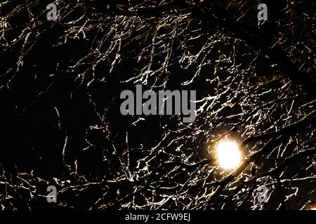Abstract composition of moon through tree branches that look like broken glass Stock Photo