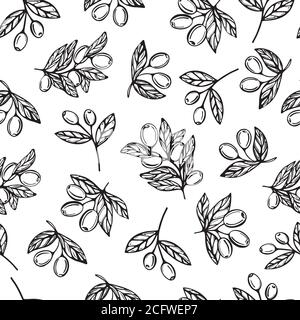 Seamless pattern of olive branches. Vector Stock Vector