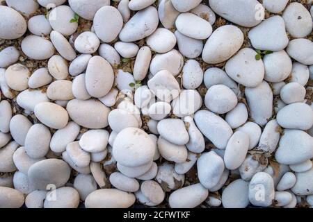 bed of rounded smooth white stones clustered together Stock Photo