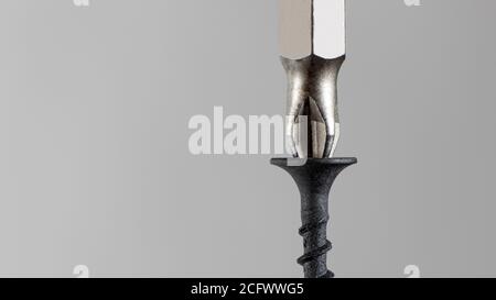 Self-cutters and screwdriver on a gray background with space for text. Screw with thread - fasteners for construction, tools and accessories repair Stock Photo
