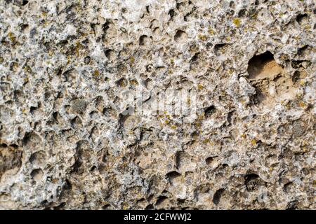 old weathered shell stone surface background texture backdrop Stock Photo