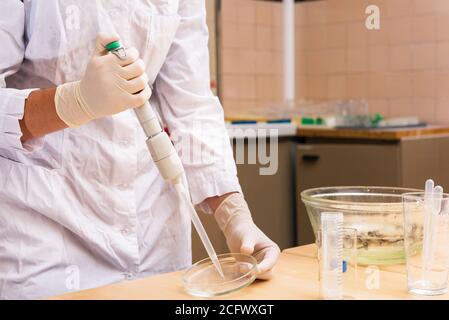 Closeup of the hand of female scientist who is using micropipette while working with Petri dish. Hands-on experiments in laboratory room. Stock Photo