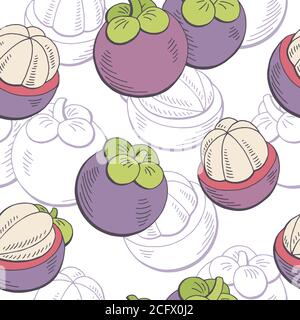 Mangosteen fruit graphic color seamless pattern sketch illustration vector Stock Vector