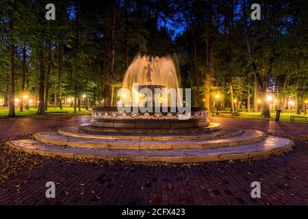 A fountain with blurred streams of water in a night park illuminated by ...